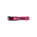 BBL Sydney Sixers Dog Collar