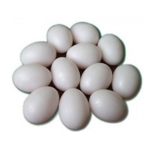 Dummy Plastic Poultry Eggs (Large)