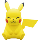 Pokemon Model Kit QUICK!!