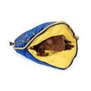 Harry Potter Chocolate Frog Plush & Pillow