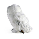 Harry Potter Hedwig Plush