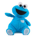 Oh So Snuggly Cookie Monster Plush 30cm