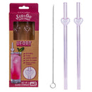 Eco to Go Glass Straw (Pack of 2)