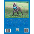 My Dog Has Epilepsy But Lives Life to the Full