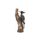 CollectA Ivory-Billed Woodpecker Figure (Large)