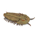 CollectA Redlichia Rex Trilobite Figure (Large)