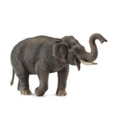 CollectA Asian Elephant Figure (Extra Large)