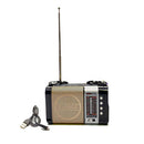 Bluetooth Multi-Functional Radio