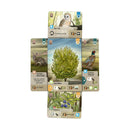 Forest Shuffle Dartmoor Board Game