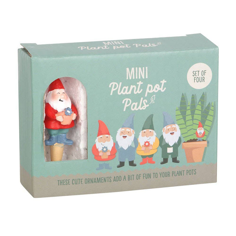 Mini Gnome Plant Pot Pals (Set of 4)