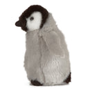 Living Nature Penguin Chick