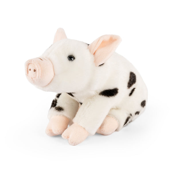 Living Nature Sitting Juliana Piglet