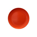 Serroni Melamine Plate 25cm