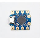ATMEGA32U4 Mini Development Board (To Suit Arduino Leonardo)